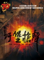 国产精品视频久久久